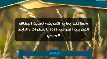 «بطاقتك بحاجة لتحديث» تحديث البطاقة التموينية العراقية 2025 بالخطوات والرابط الرسمي